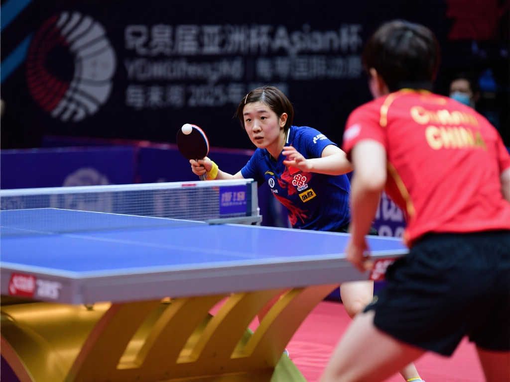 却仅收获了 却仅收获了